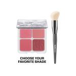 Blush & Brush Kit