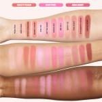 Blush Filter Blurring Blushlighters Palette