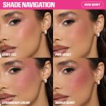 Blush Filter Blurring Blushlighters Palette