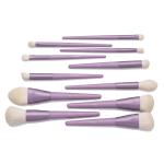 Brushia purple set 11 pic