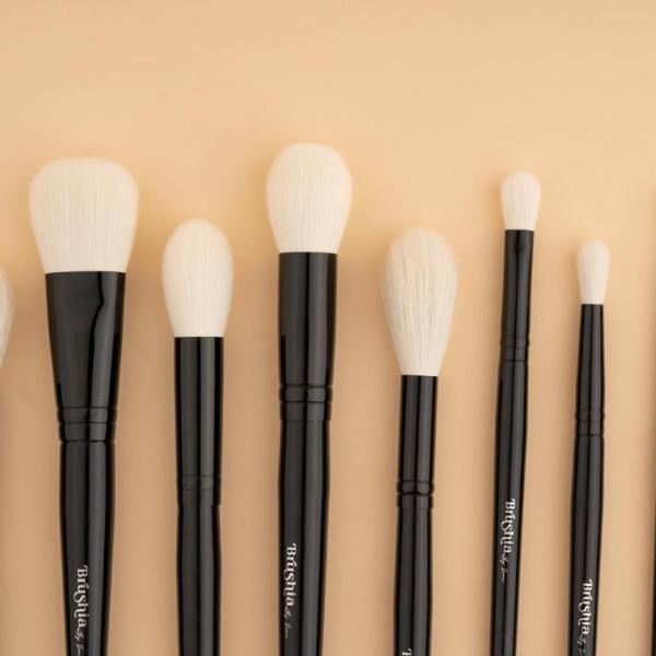 Eye and Face brush set 10pcs